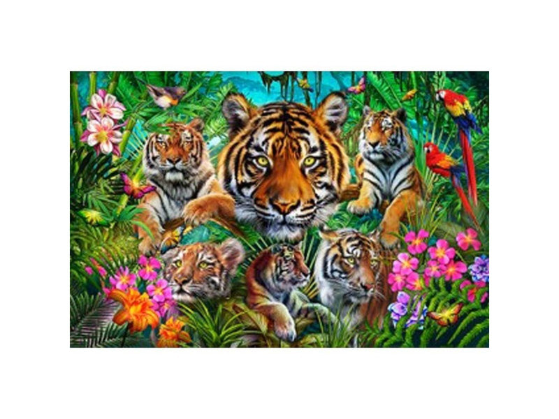 Educa 500 Tiger Jungle