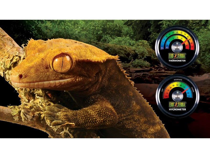 EXO TERRA Combometer Digital Thermo Hygrometer