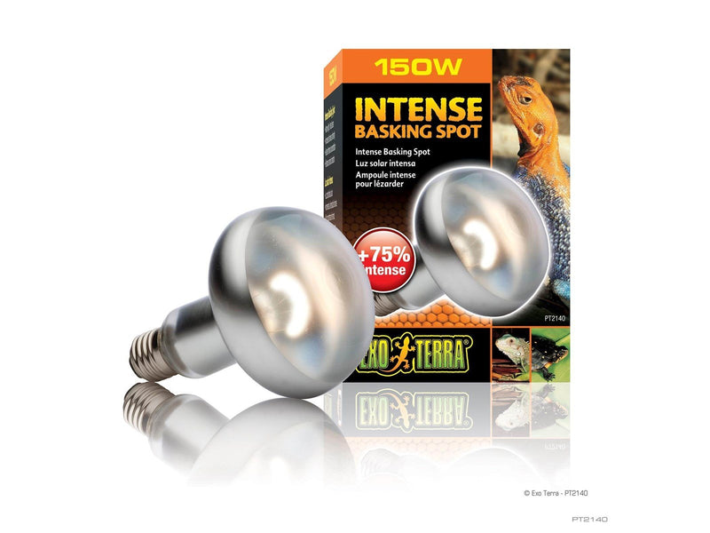 EXO TERRA Sun Glo intense basking spot 150 w m/UVA