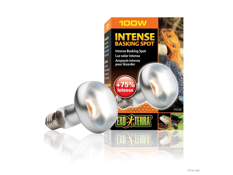 EXO TERRA Sun Glo intense basking spot 100 w m/UVA