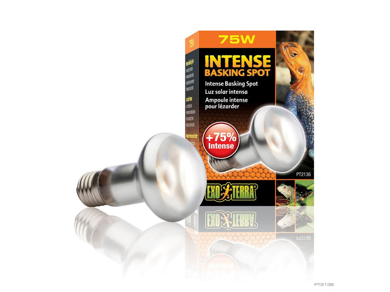EXO TERRA Intense Basking Spot 75W