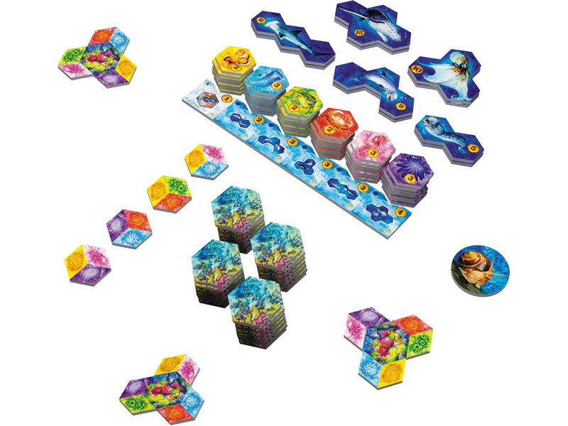 Sidekick Games Aqua (Nordic) (AMDAQU01NOR)
