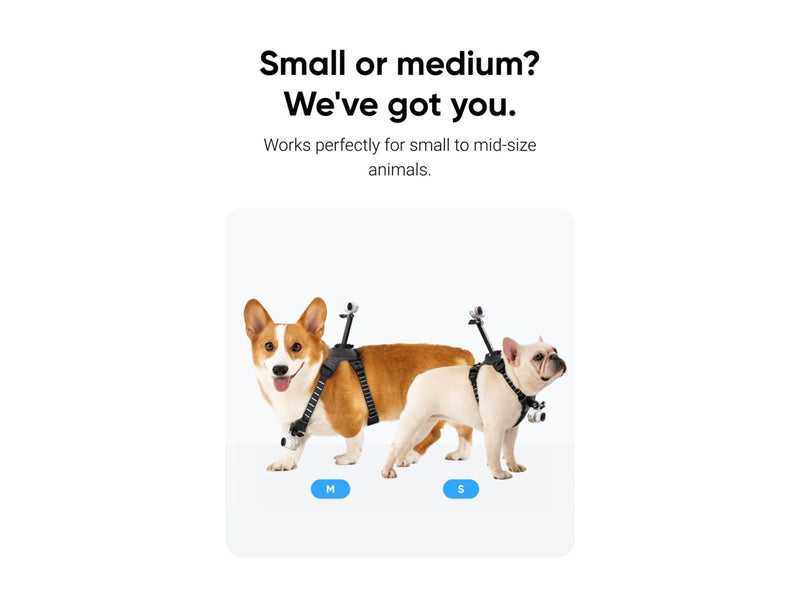 Insta360 GO 3/GO 3S Pet Harness Mount Size S