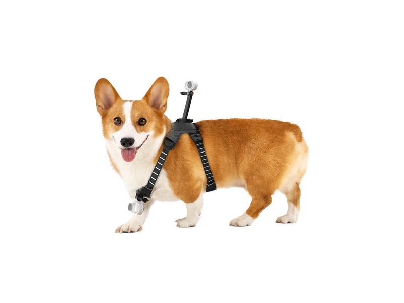 Insta360 GO 3/GO 3S Pet Harness Mount Size S