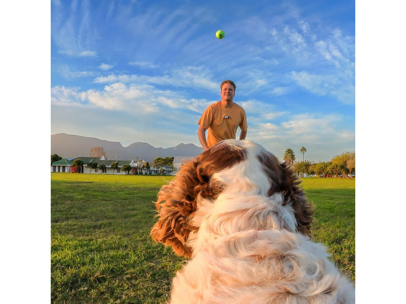 Insta360 GO 3/GO 3S Pet Harness Mount Size S