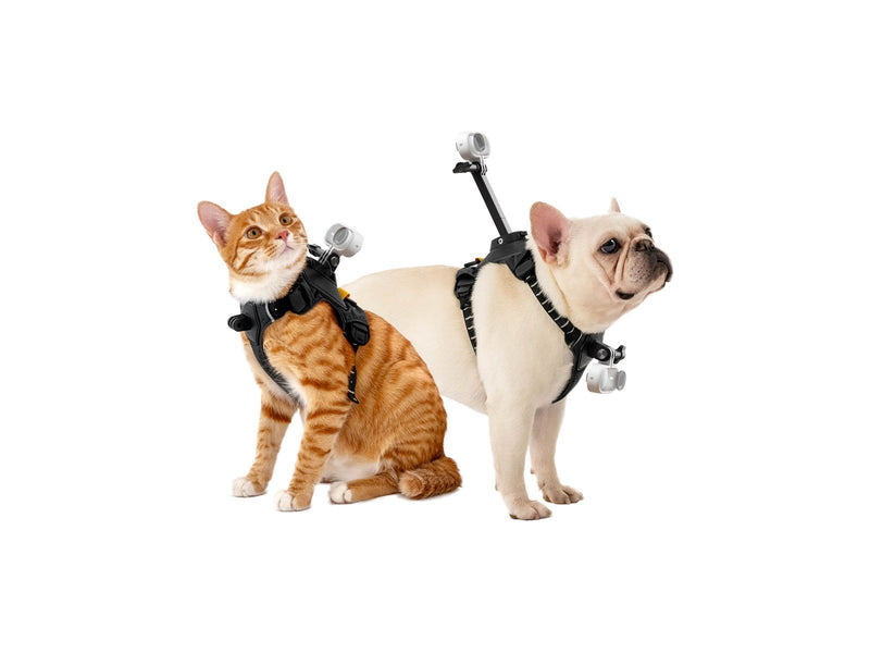 Insta360 GO 3/GO 3S Pet Harness Mount Size M