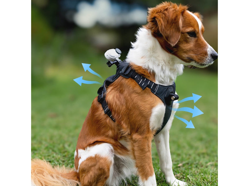 Insta360 GO 3/GO 3S Pet Harness Mount Size M