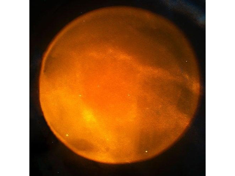 Fizz Creations - Astronaut Sunset - Lampe