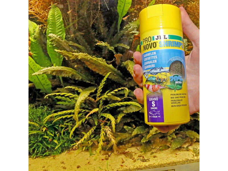 JBL Aqua Pronovo Shrimps Grano S 250ml