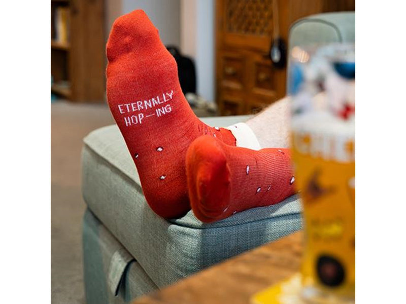 Fizz Creations - Craft Beer Socks & Glass Set - Socken