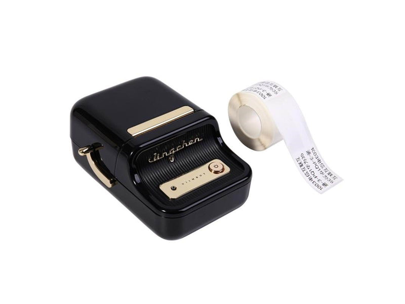NIIMBOT Portable Label Printer Niimbot B21 (Black)