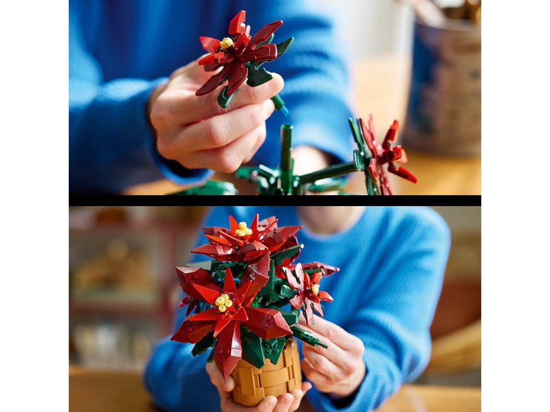 LEGO Botanicals 10370 Weihnachtsstern