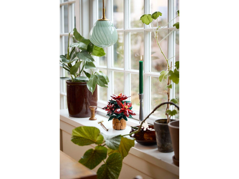 LEGO Botanicals 10370 Weihnachtsstern