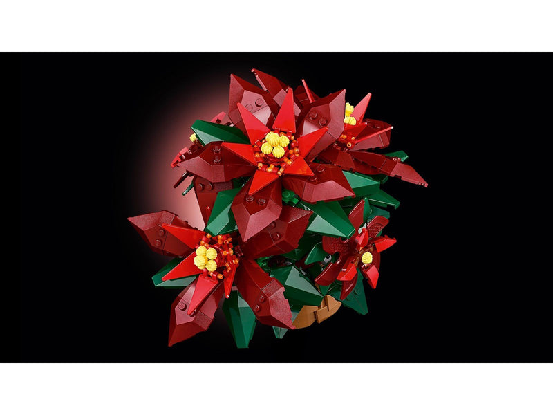 LEGO Botanicals 10370 Weihnachtsstern