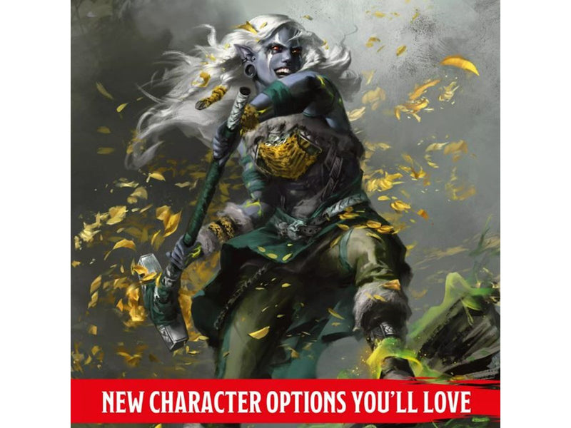 Dungeons & Dragons 2024 Player's Handbook