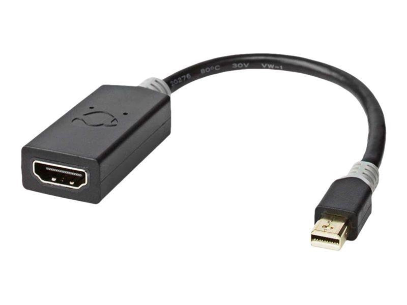 Nedis adapter - DisplayPort / HDMI - 20 cm