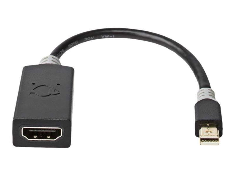 Nedis adapter - DisplayPort / HDMI - 20 cm