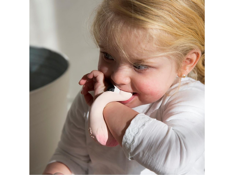 oli and carol Sky the Flamingo Baby Teether