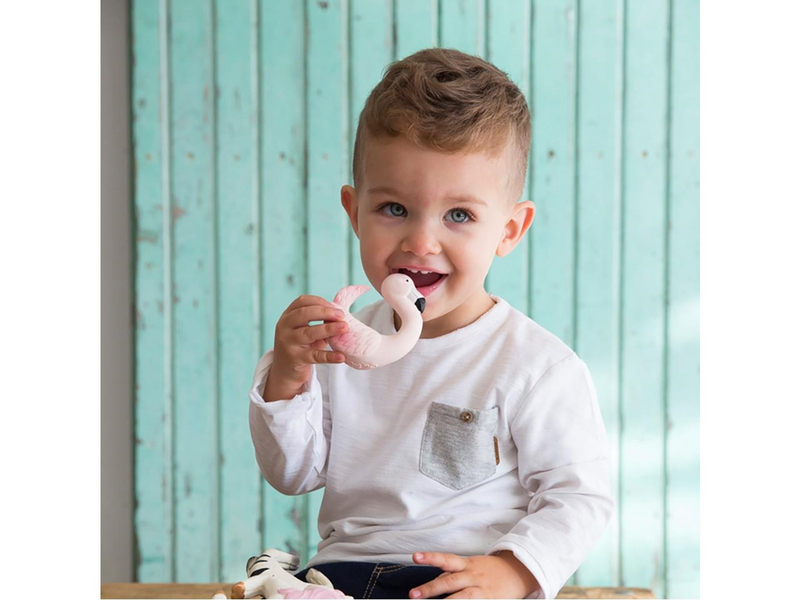 oli and carol Sky the Flamingo Baby Teether