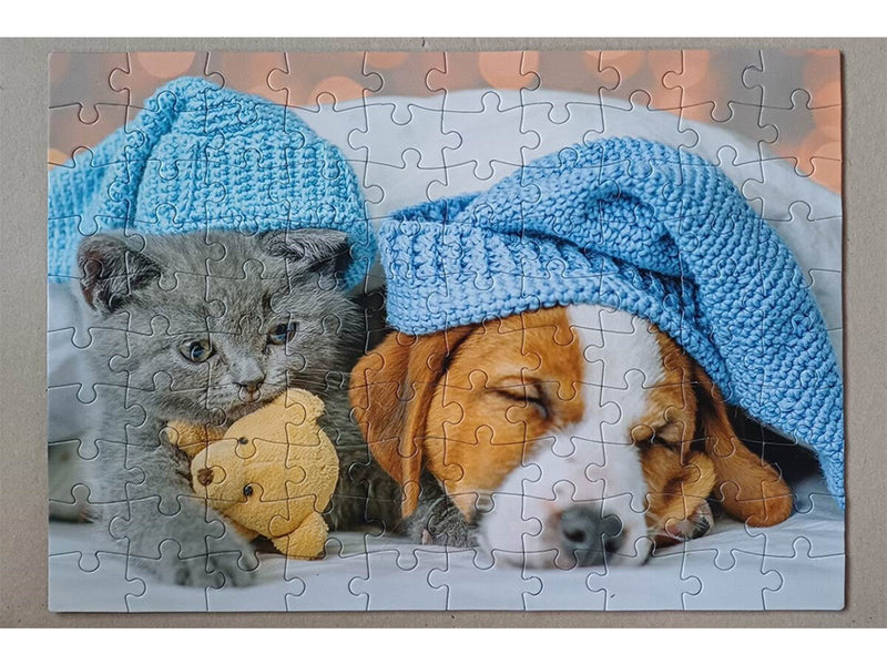 Tactic  Cute Kitten and Sleepy Dog 1 pcs puzzle