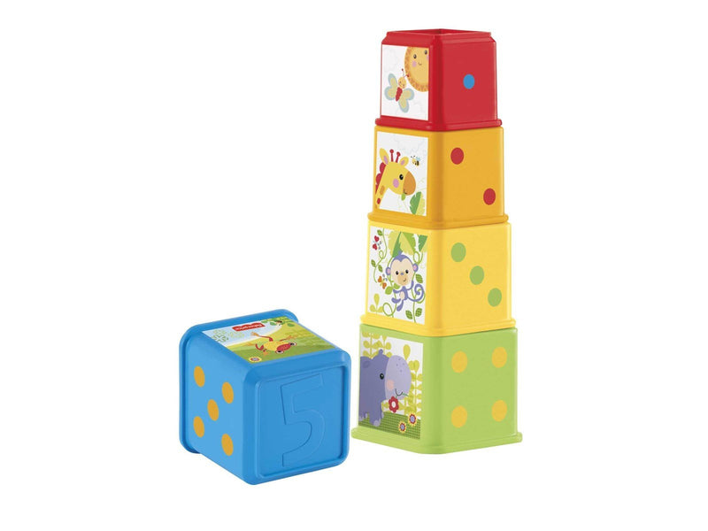 Fisher-Price Stack & Explore Blocks