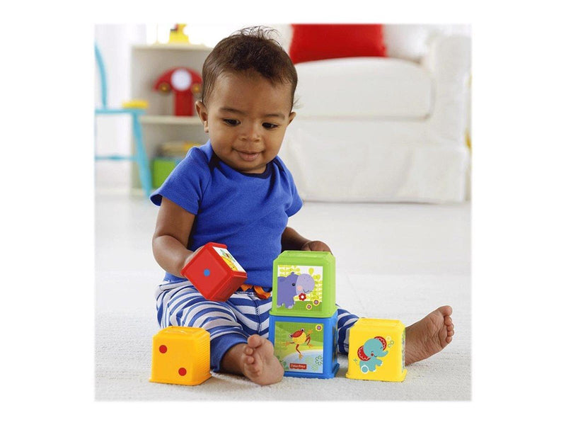Fisher-Price Stack & Explore Blocks
