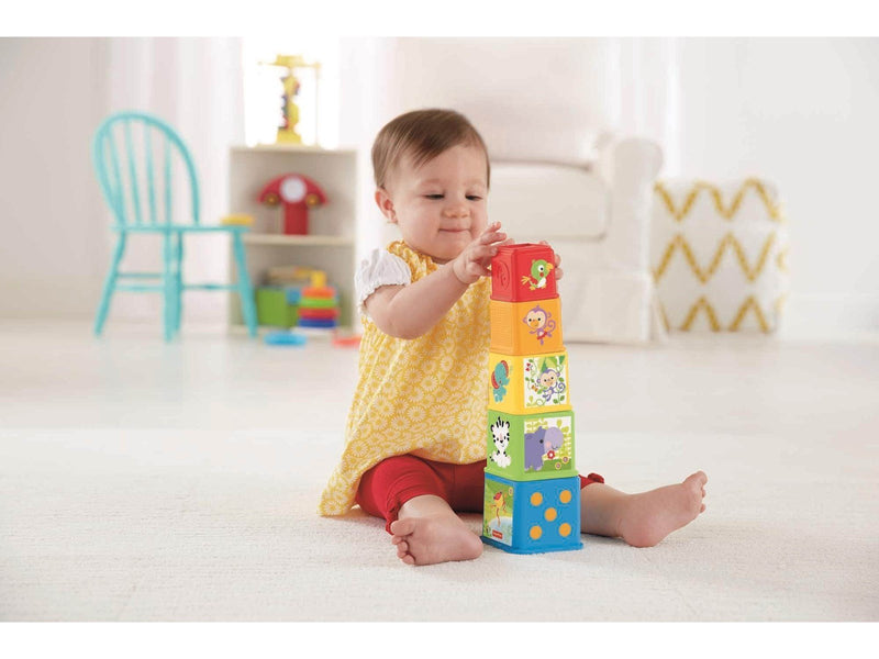 Fisher-Price Stack & Explore Blocks