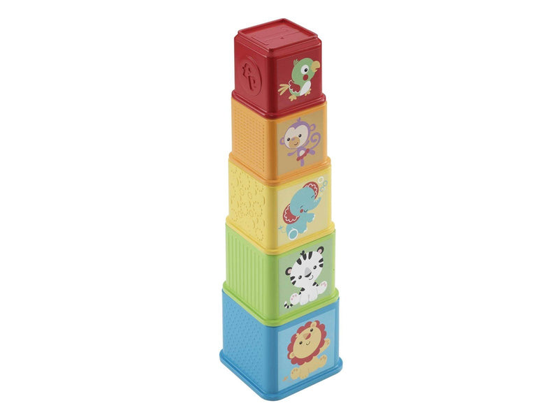 Fisher-Price Stack & Explore Blocks
