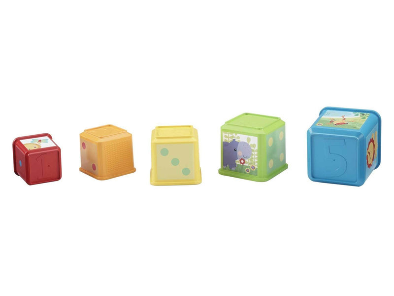Fisher-Price Stack & Explore Blocks