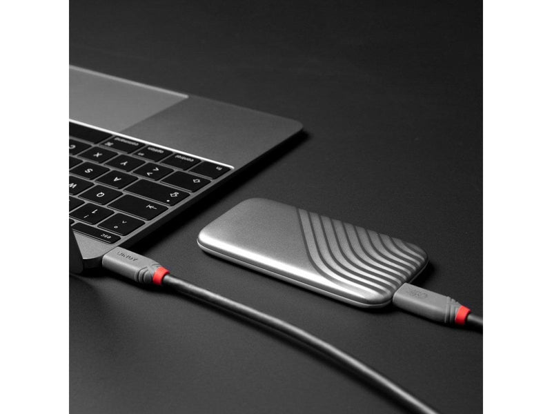 Lindy Anthra USB4 USB-C to USB-C Cable - 80cm