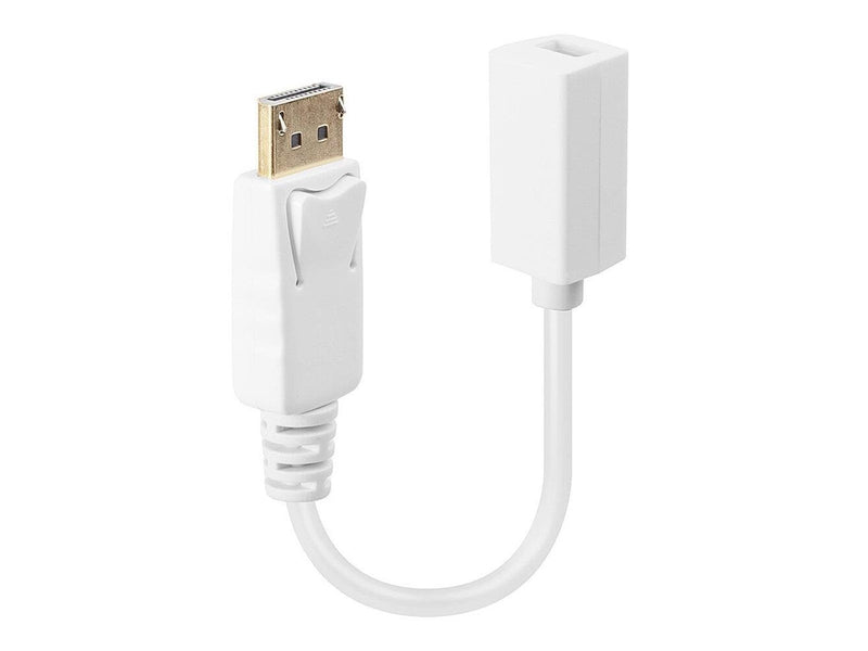 Lindy DisplayPort to Mini DisplayPort Adapter