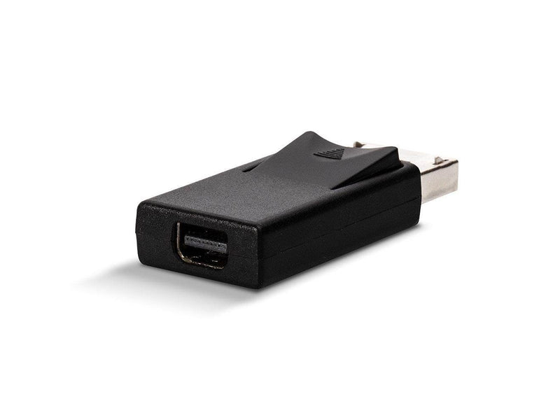 Lindy DisplayPort to Mini DisplayPort Adapter