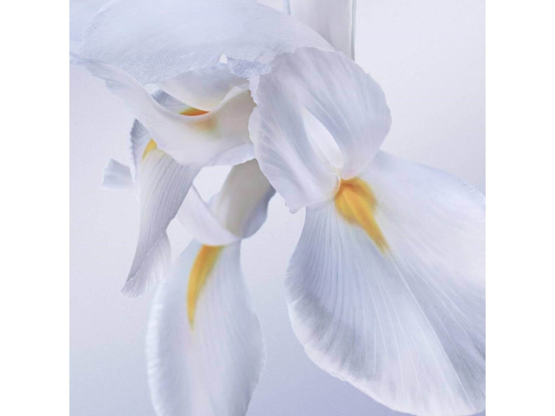 Lancôme La Vie Est Belle Extraordinaire EDP - 50ml