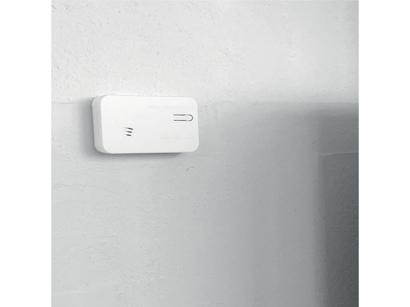 Foss Europe FESH Smart Home Carbon monoxide alarm