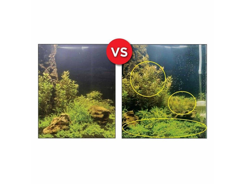 FLUVAL - Bio Co2 Set 125L - (141.8930)