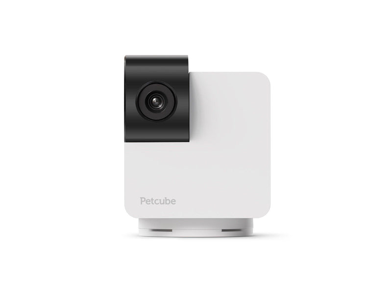 Petcube -  Cam 360 - (854592007523)