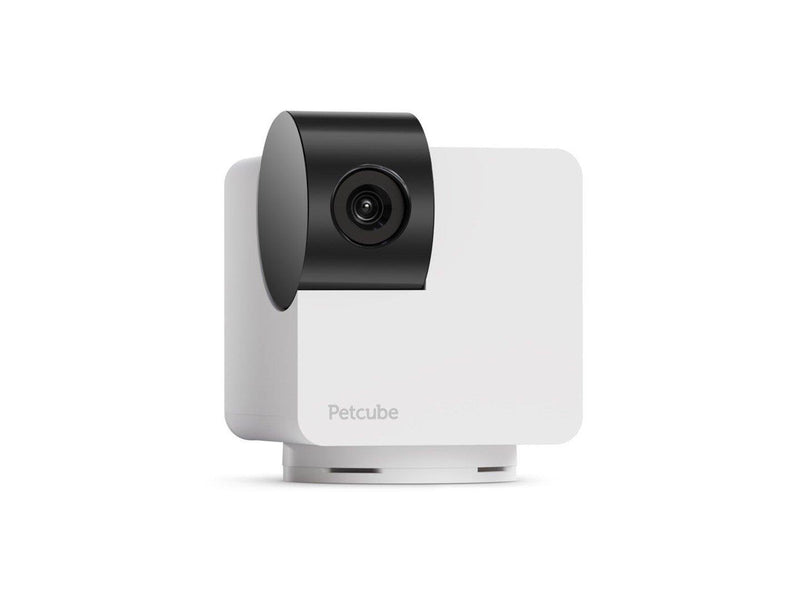 Petcube -  Cam 360 - (854592007523)