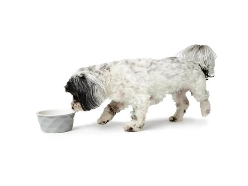 Hunter - Bowl ceramik Eiby 1100ml grey - (68658)