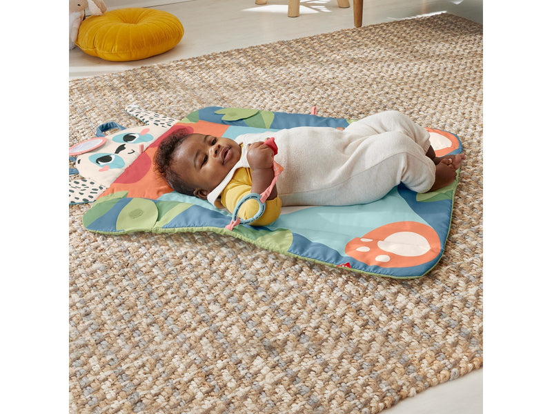 Fisher-Price Planet Friends Roly-Poly Panda Play Mat