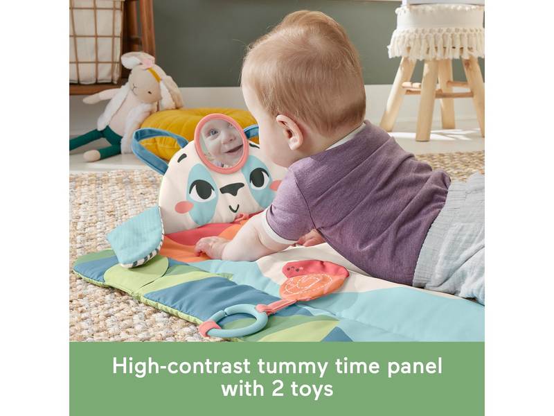 Fisher-Price Planet Friends Roly-Poly Panda Play Mat