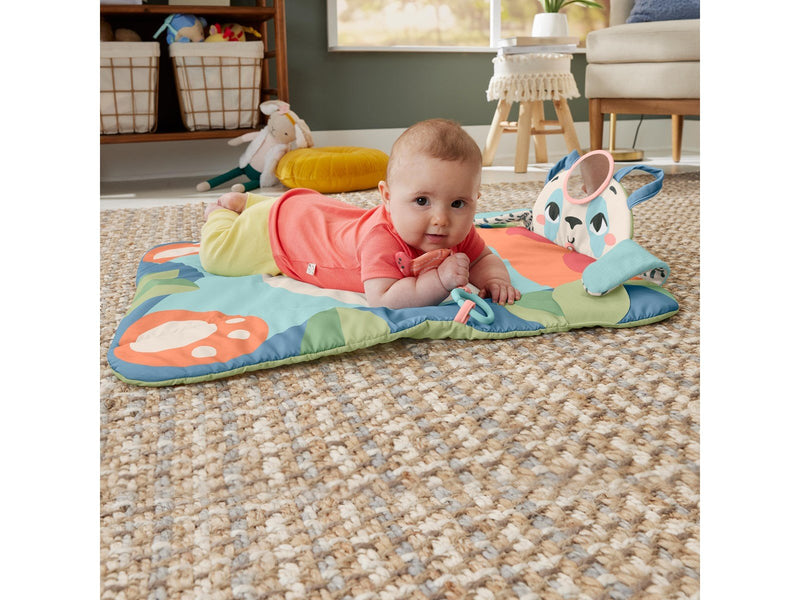 Fisher-Price Planet Friends Roly-Poly Panda Play Mat