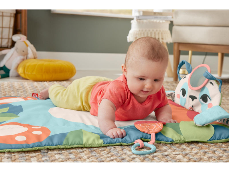 Fisher-Price Planet Friends Roly-Poly Panda Play Mat