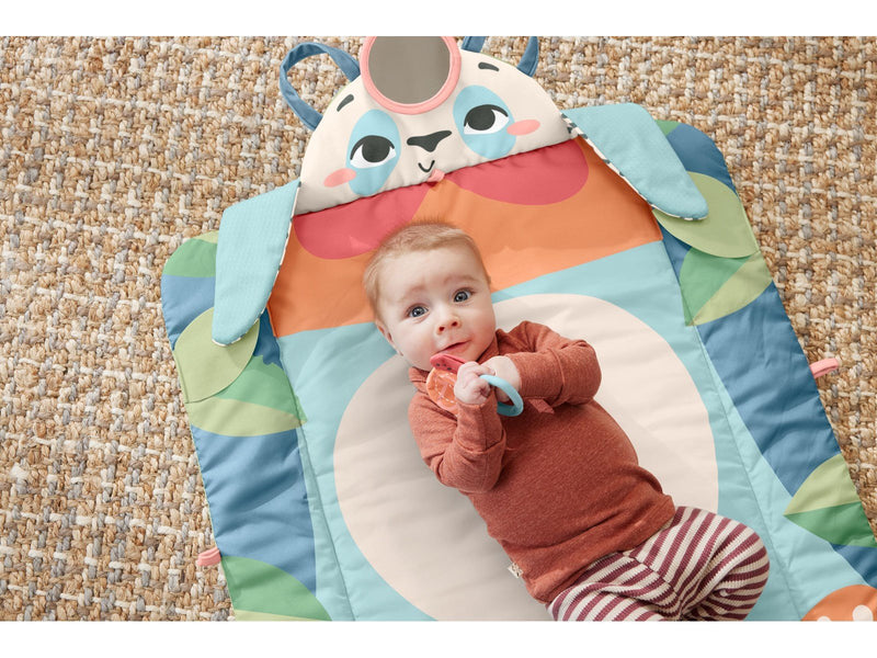 Fisher-Price Planet Friends Roly-Poly Panda Play Mat