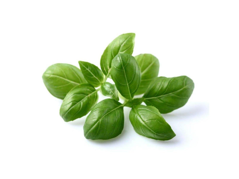 Click & Grow Click and Grow - Smart Garden Refill 3-pack - Basil (SGR3X3)
