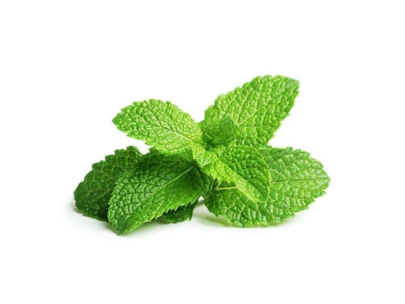 Click & Grow Click and Grow - Smart Garden Refill 3-pack - Peppermint (SGR22X3)