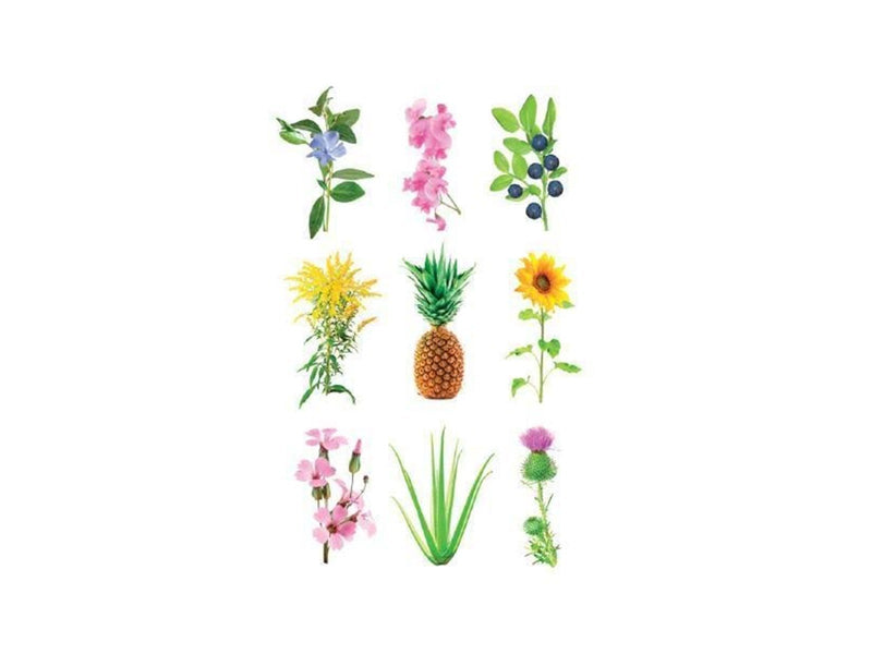 Click & Grow - Smart Garden Refill 3-pack - Experimental (SGR0X3)