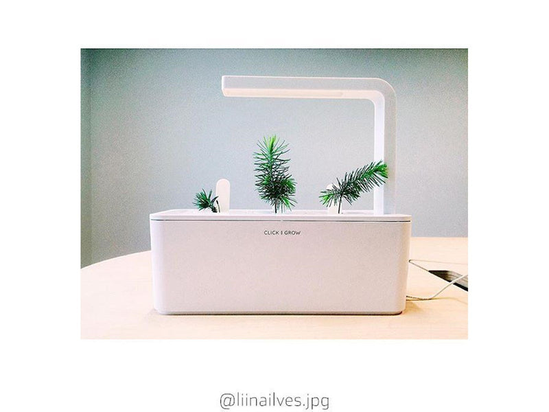 Click & Grow - Smart Garden Refill 3-pack - Experimental (SGR0X3)