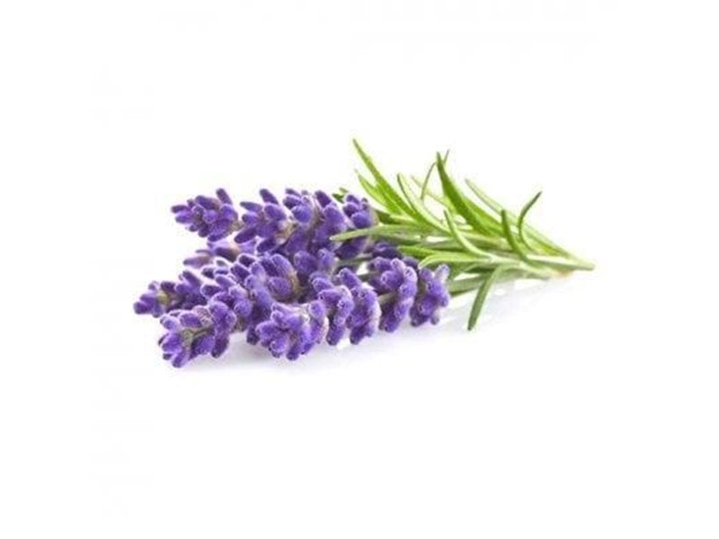 Click & Grow Click and Grow - Smart Garden Refill 3-pack - Lavender (SGR30X3)