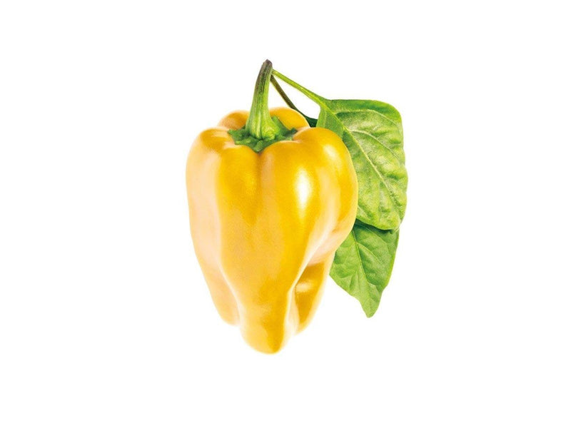 Click & Grow - Smart Garden Refill 3-pack - Yellow Sweet Peppers (SGR53X3)