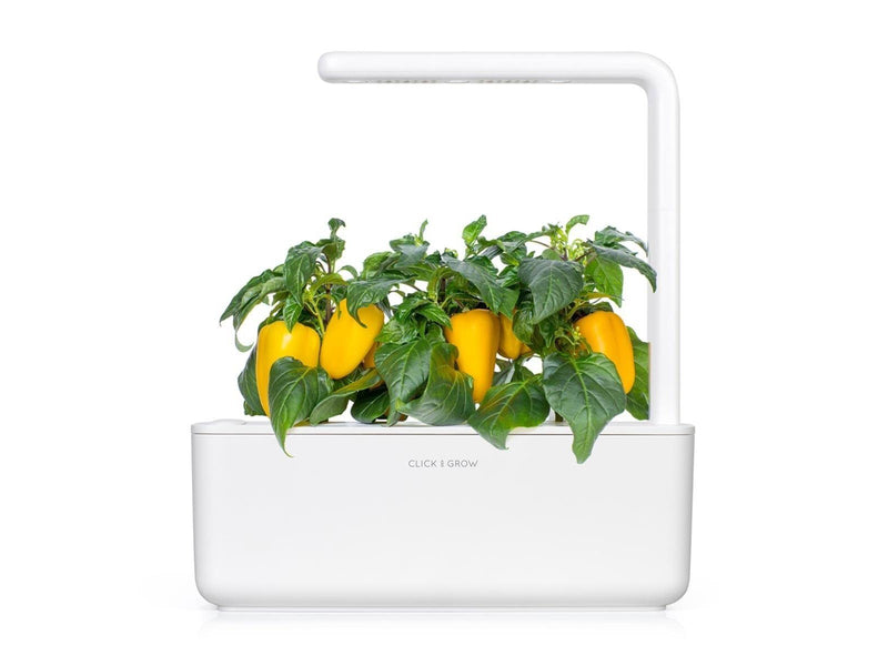 Click & Grow - Smart Garden Refill 3-pack - Yellow Sweet Peppers (SGR53X3)